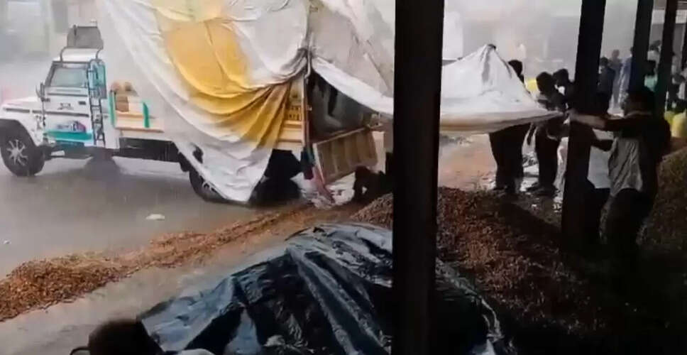 Unseasonal Rains Devastate Maharashtra Farmers, Viral Videos Capture Heartbreak