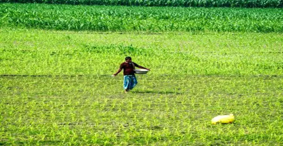 AI Innovations Transforming Indian Agriculture for Better Yields