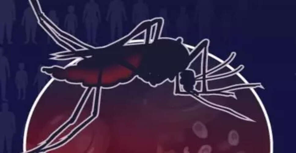 Global Malaria Report 2024: Rising Cases and Deaths Amidst Drug Resistance Challenges