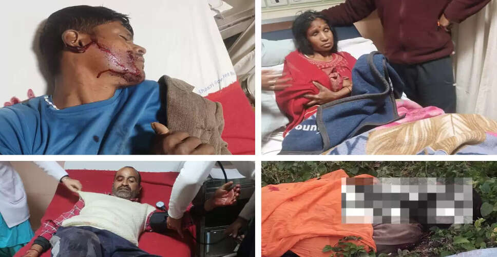 Leopard Attack in Mandi District: One Fatality and Five Injured