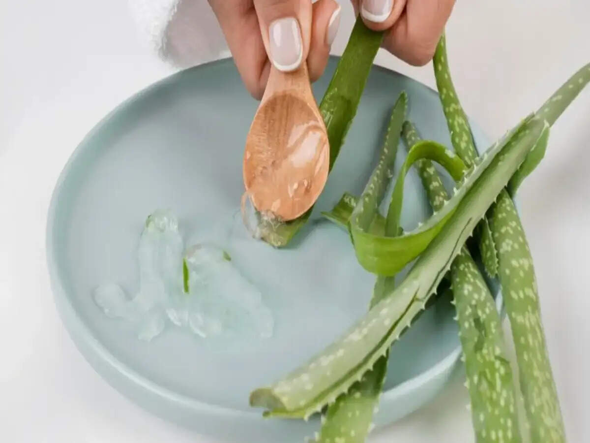 Unlocking the Benefits of Aloe Vera Gel for Skin and Hair Care