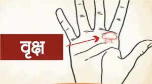 हाथ की रेखाओं के शुभ चिन्ह: जानें आपके भाग्य के बारे में