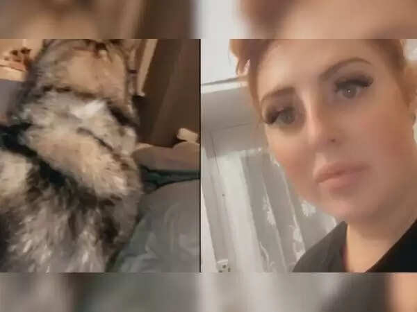 Drunken Night Leads to Surprising Encounter with Giant Dog