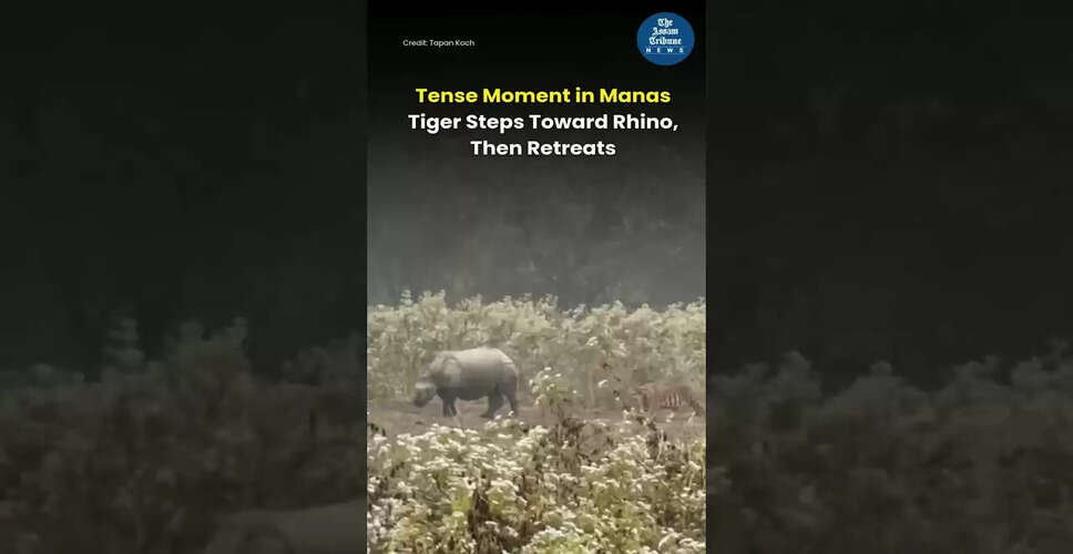 Engaging Visual Content for Your Audience