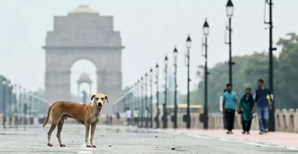 Supreme Court Modifies Stray Dog Management Orders in Delhi