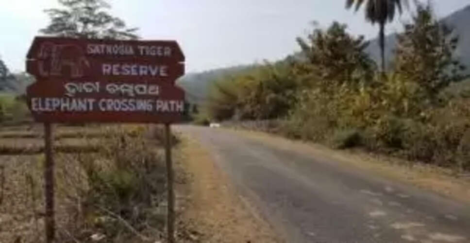 What Happened to the Tigers of Satkosia? A Deep Dive into Odisha's Wildlife