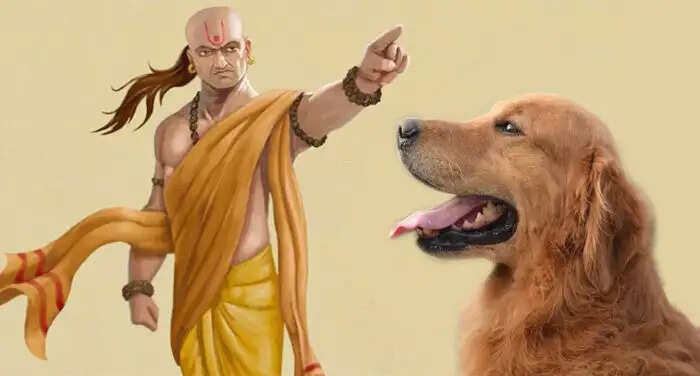 Four Valuable Lessons from Dogs According to Acharya Chanakya