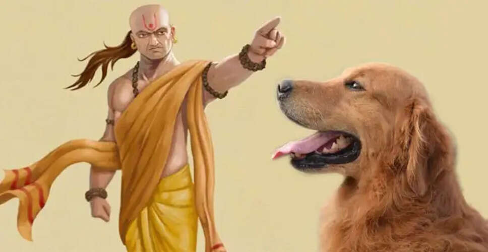 Four Valuable Lessons from Dogs According to Acharya Chanakya