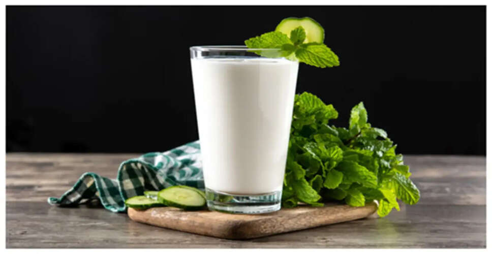 Essential Summer Foods to Stay Cool and Hydrated