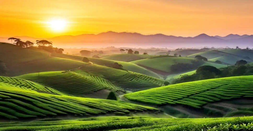 Top Monsoon Travel Spots in Northeast India for 2026