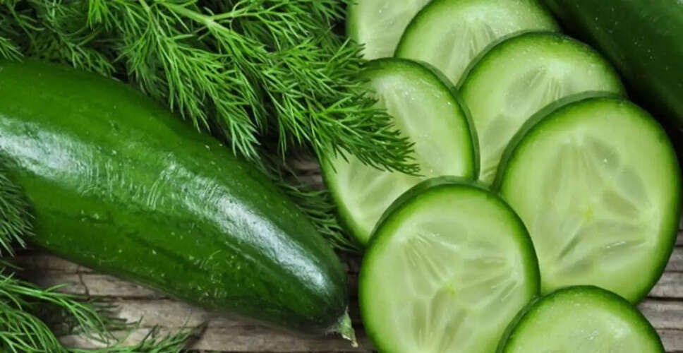 Refreshing Cucumber Mocktails for a Cool Summer