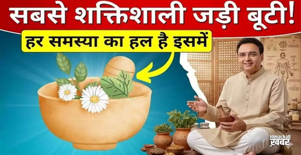 Top 5 Ayurvedic Herbs for a Healthy and Active Life