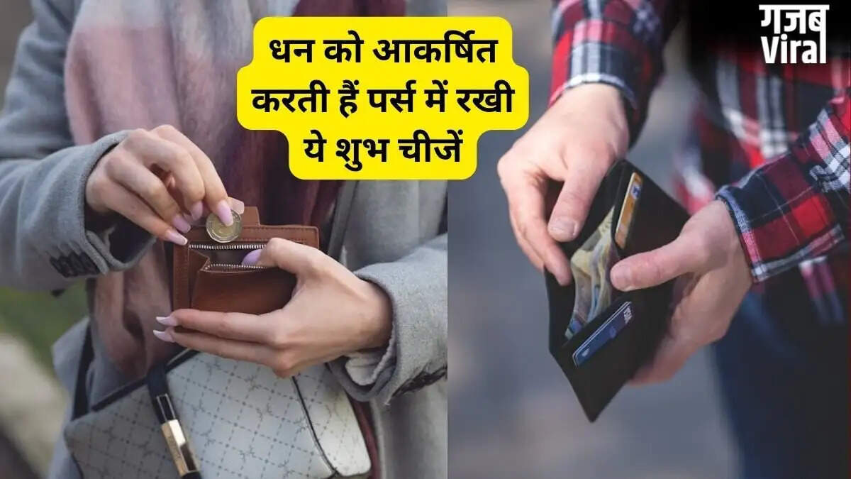 Effective Vastu Tips for Your Purse to Attract Wealth