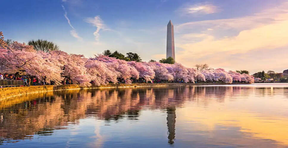 Top Cherry Blossom Destinations to Visit This Spring
