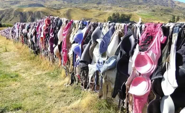 Unusual Tradition in New Zealand: Girls Hang Bras for Wishes