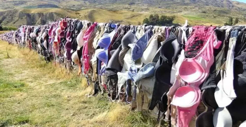 Unusual Tradition in New Zealand: Girls Hang Bras for Wishes