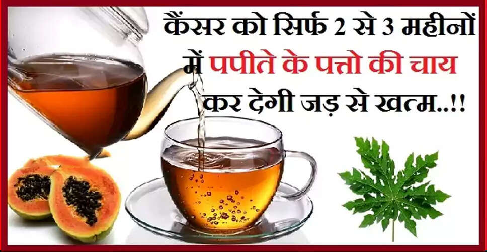 The Healing Power of Papaya Leaf Tea Against Cancer