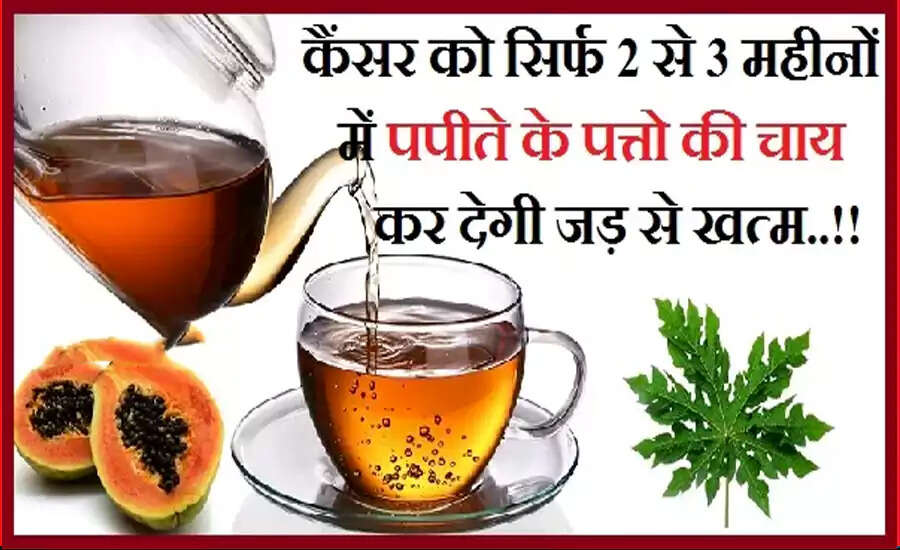 The Healing Power of Papaya Leaf Tea Against Cancer