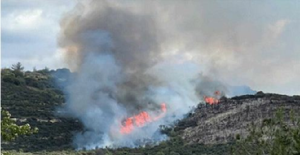 Raging wildfire forces residents to evacuate in Cyprus