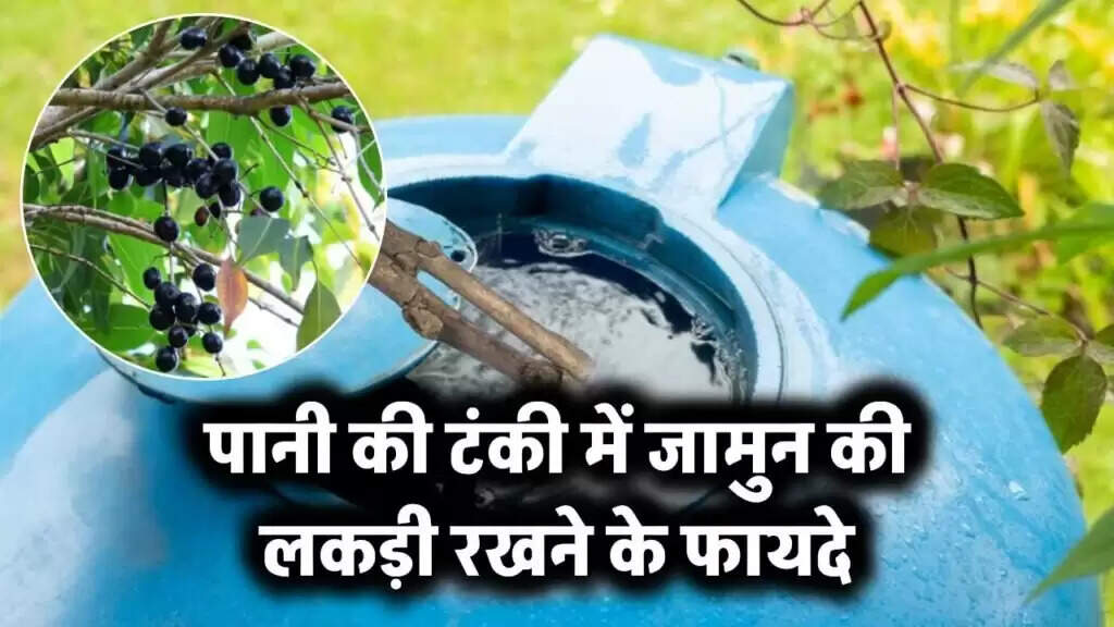 The Benefits of Using Jamun Wood for Water Tank Purification