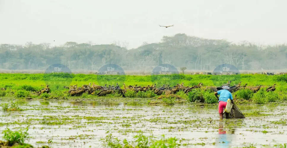 Supreme Court Questions Vagueness in Wetland Definition Under 2017 Rules