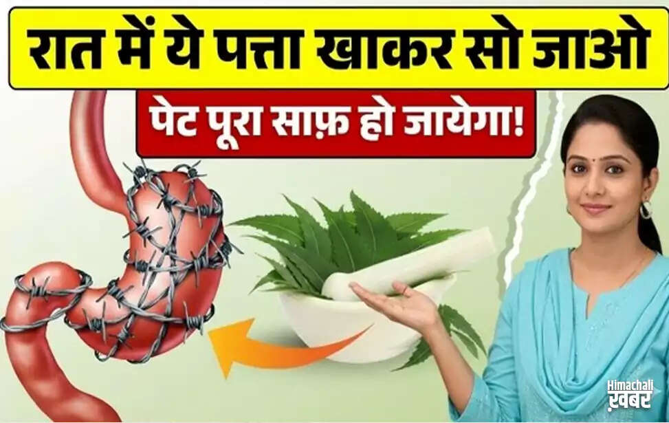 Simple Detox Solutions for a Healthier Body