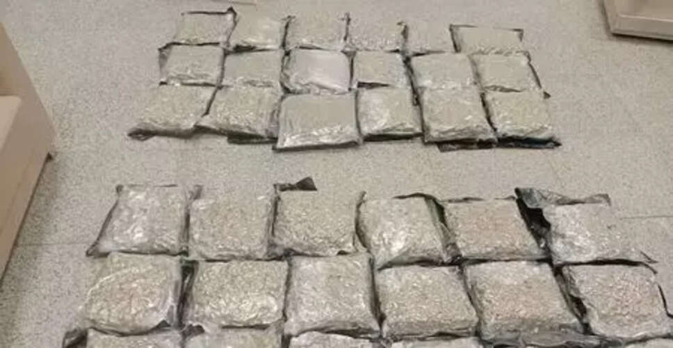 Customs Seize Hydroponic Cannabis Worth ₹14 Crore at Hyderabad Airport
