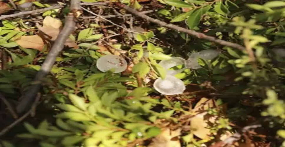 Climate change raises hailstorm risks for Australian major cities
