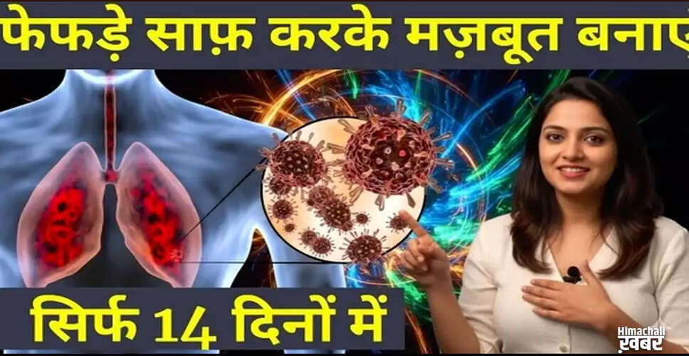फेफड़ों के लिए प्राकृतिक हर्बल डिटॉक्स चाय के लाभ
