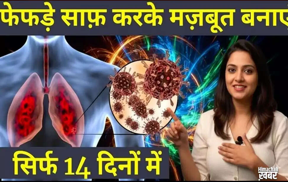 फेफड़ों के लिए प्राकृतिक हर्बल डिटॉक्स चाय के लाभ