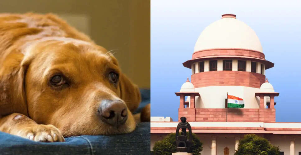 New Regulations for Stray Dogs in Prayagraj: Life Imprisonment for Repeat Offenders