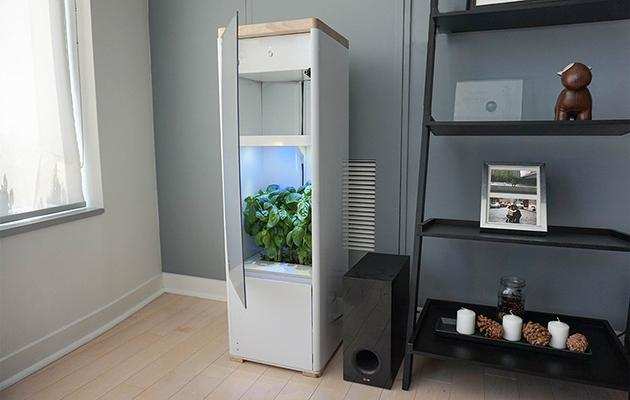 Now You Can Grow Organic Plant Inside This Machine, It Keeps Them Fresh and Healthy