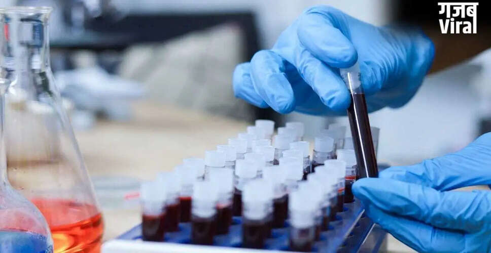 Increasing Cancer Cases: Lifestyle and Dietary Habits Under Scrutiny