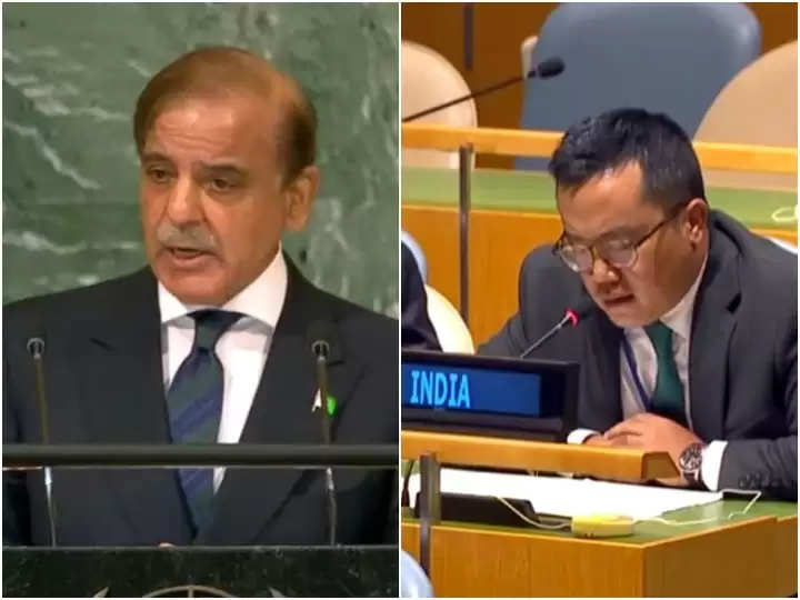 INDIAN DIPLOMAT: Peace in the subcontinent will be possible only when Pakistan eliminate terrorism