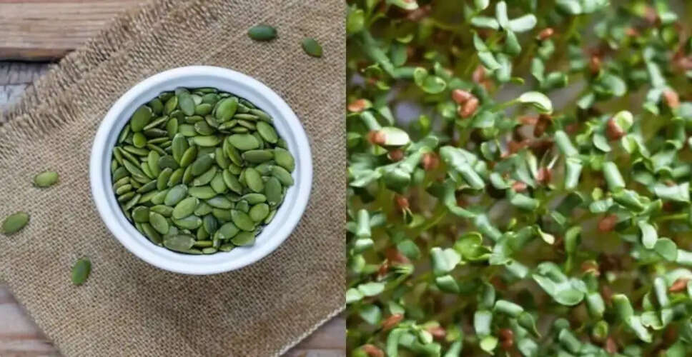 The Incredible Health Benefits of Green Flax Seeds