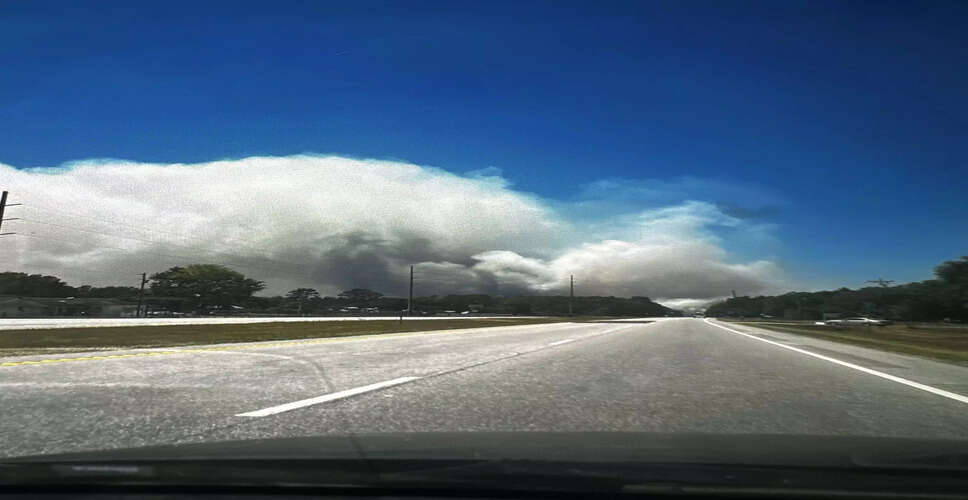 Severe Wildfires Lead to Evacuations in Southeastern USA