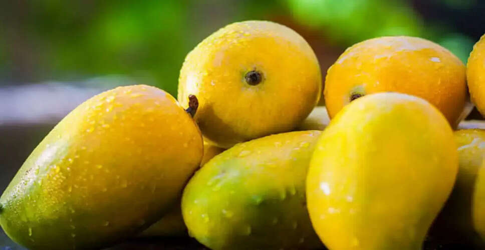 Understanding the Risks of Chemically Ripened Mangoes This Summer