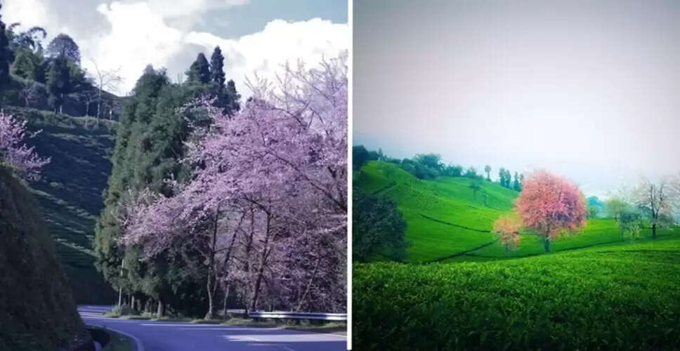 Discover the Enchantment of Sikkim: A Six-Day Itinerary