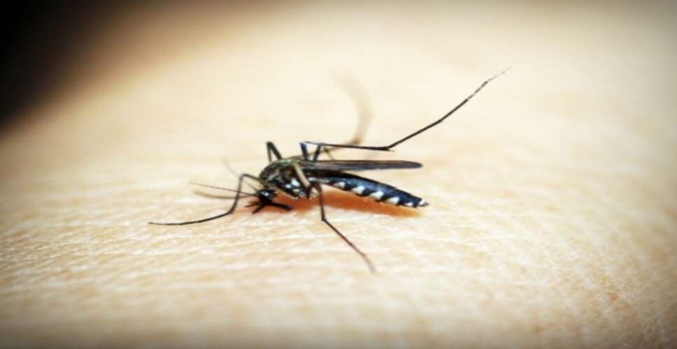 Europe sets new records for mosquito-borne West Nile virus, chikungunya disease: ECDC