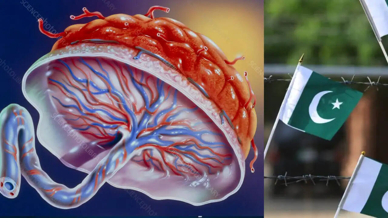 Pakistan Investigates International Smuggling of Human Placentas for Anti-Aging Treatments