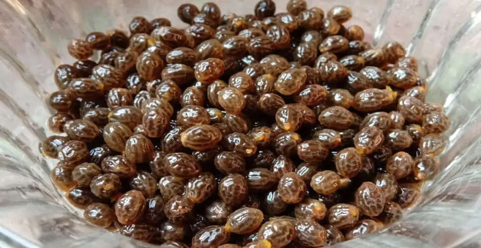 Health Benefits of Papaya Seeds You Should Know