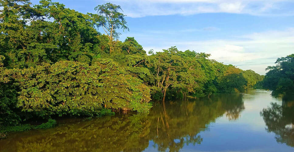 Celebrating Assam's Statehood: A Historical Overview