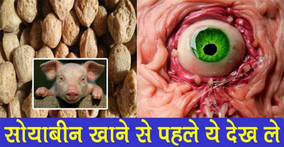 The Hidden Dangers of Soybean Consumption in India