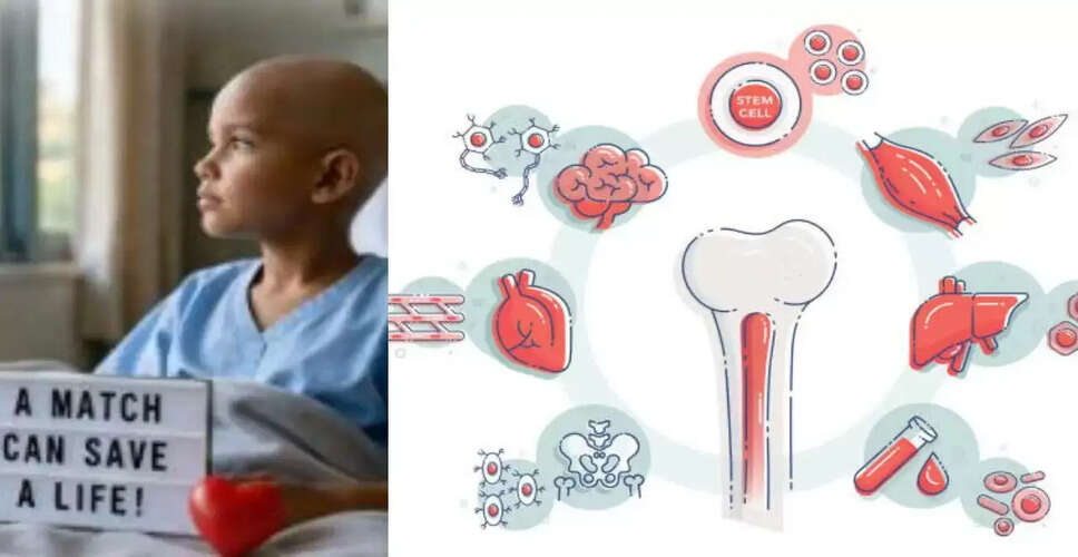 Understanding Bone Marrow Donation: Myths and Realities