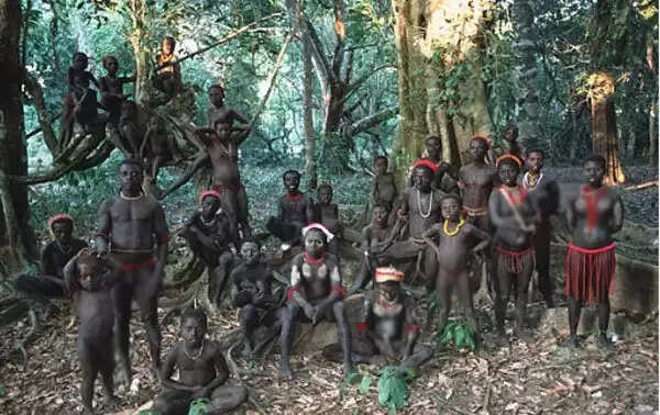 The Jarawa Tribe: A Unique Perspective on Skin Color in India