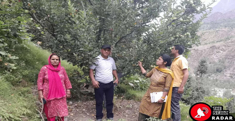 Experts Tackle Apple Tree Diseases in Bharmour's Tribal Orchards