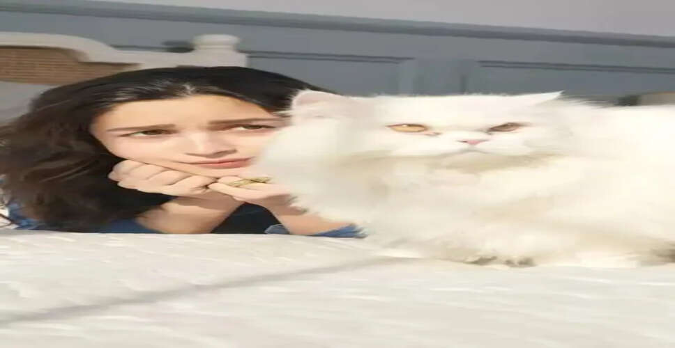 Famous Furry Friends: The Celebrity Pets Captivating Hearts Worldwide