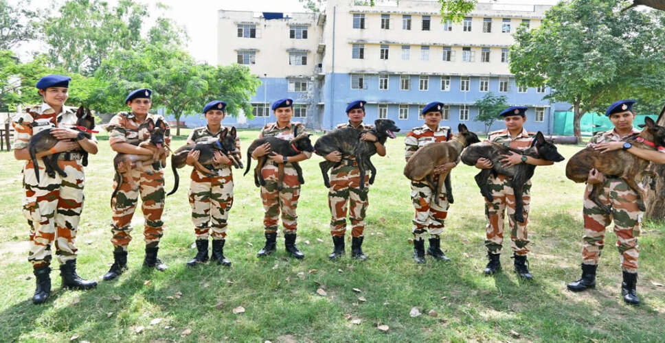 The Inspiring Journey of Remo: A Brave Combat Dog of ITBP