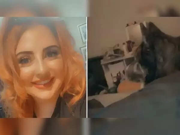 Drunken Night Leads to Surprising Encounter with Giant Dog