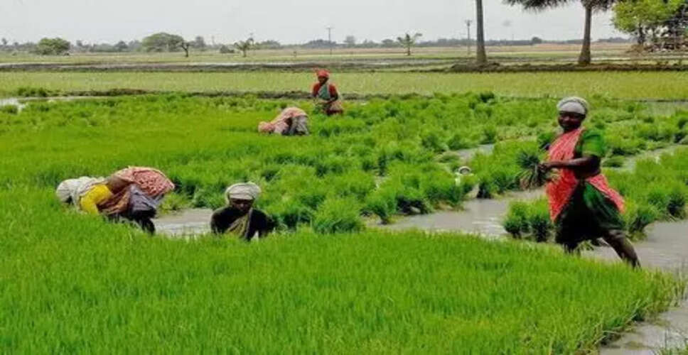 Tamil Nadu Farmers Struggle with High-Interest Loans Amid Cooperative Delays